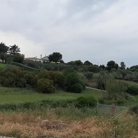 Rux Platamona 아파트 *